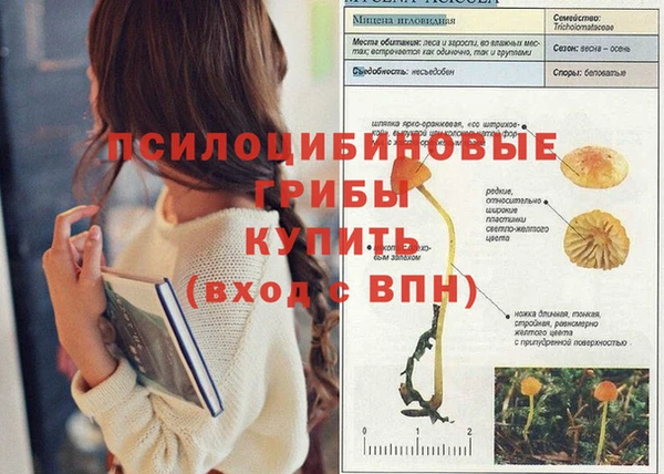 мефедрон мука Михайловка