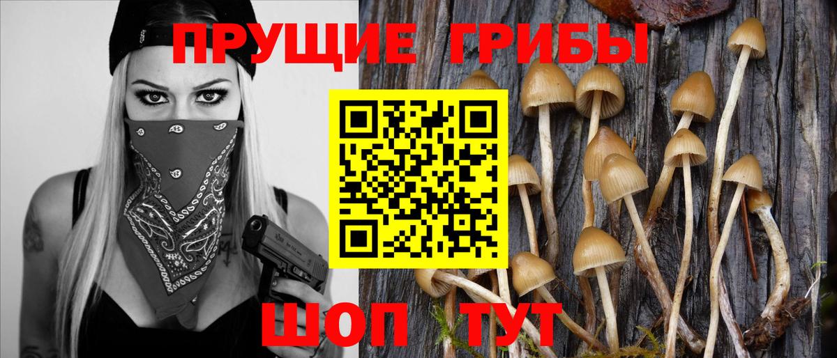 Галлюциногенные грибы мухоморы Чапаевск