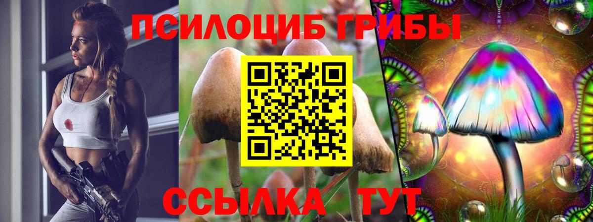 Чапаевск  Галлюциногенные грибы Psilocybe  где найти   Вход с VPN 